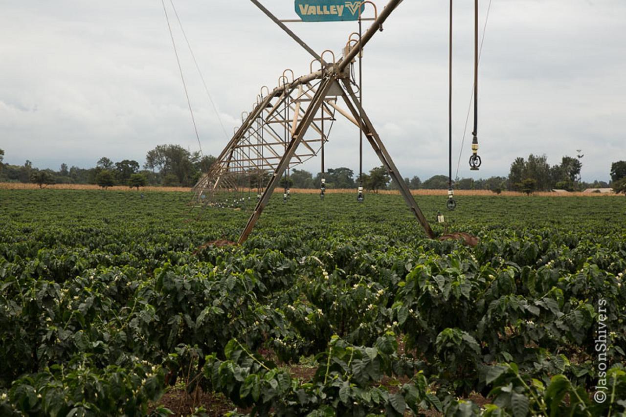 Weru Weru River Lodge Exterior photo