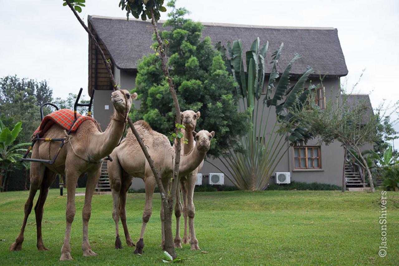 Weru Weru River Lodge Exterior photo